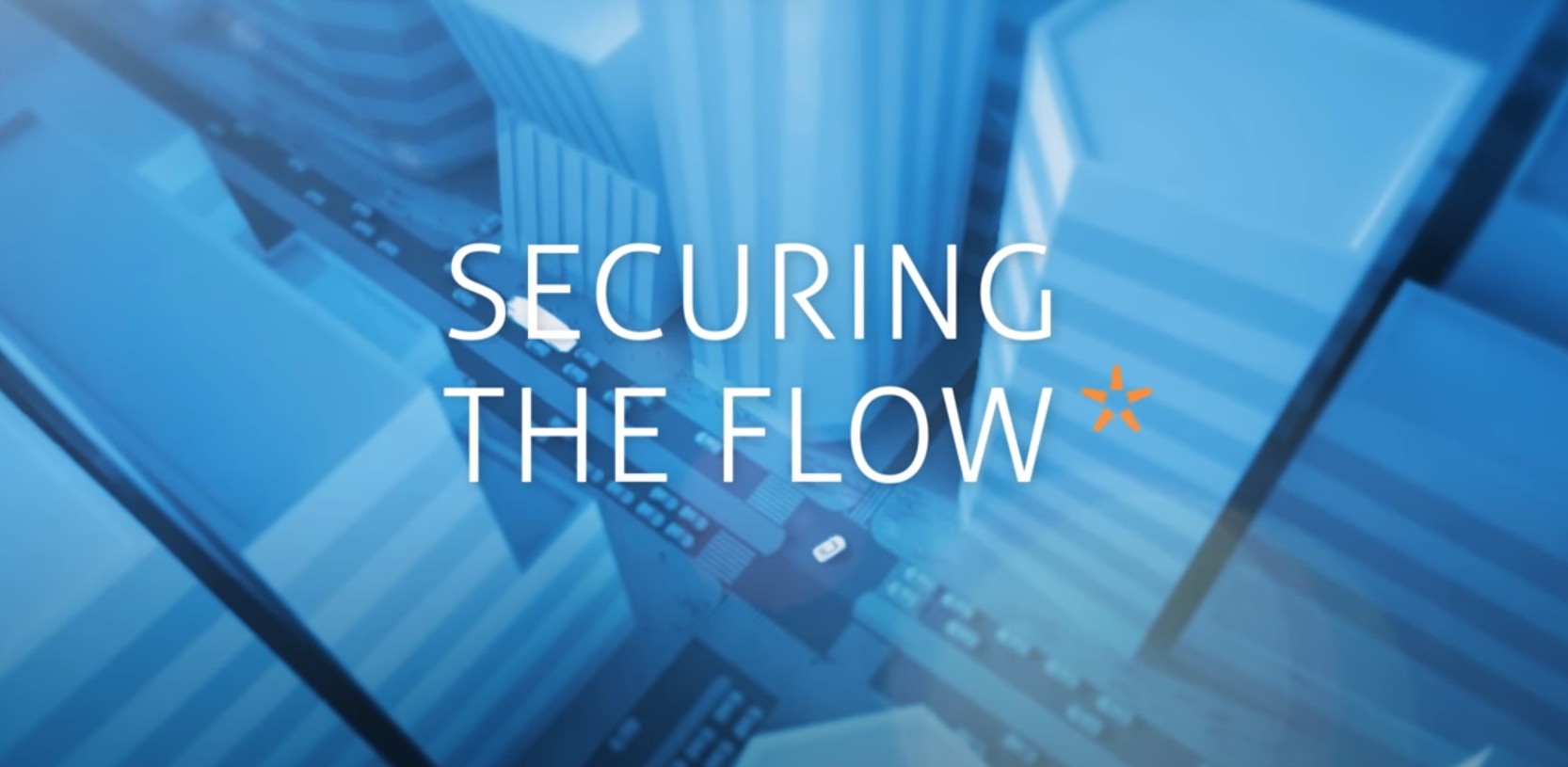 Securing the Flow  Logo